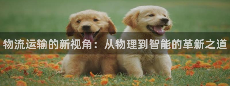 凤凰至尊fh凤凰版0a