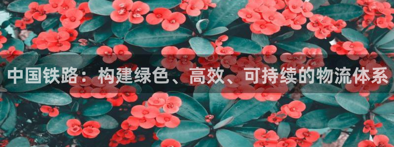 fh至尊香港办事处