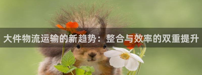 fh至尊是黑台子吗