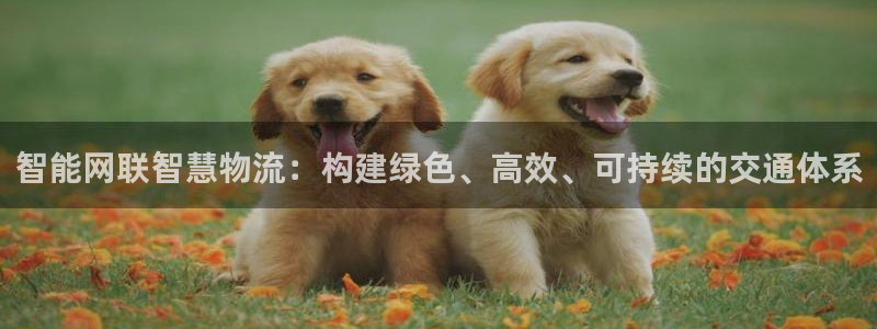 fh至尊凤凰消息的范本