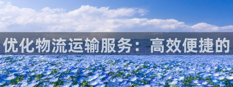 FH至尊属于哪里啊公司