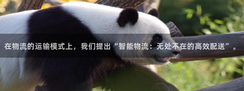fh至尊凤凰消息的范本